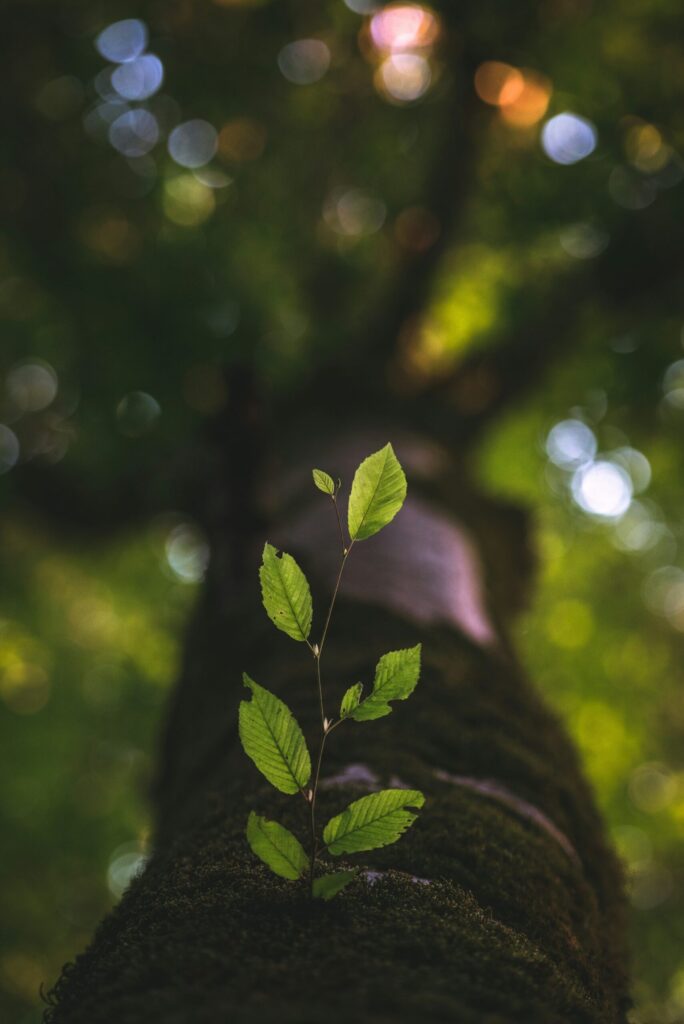 Hello World Featured Image